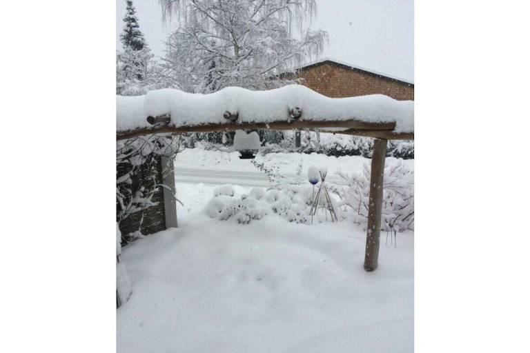 foto6
