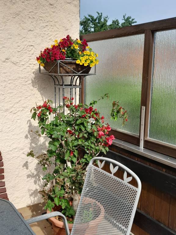 foto37