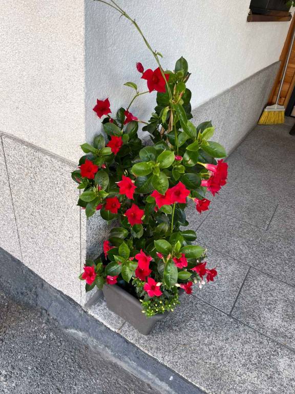 foto4