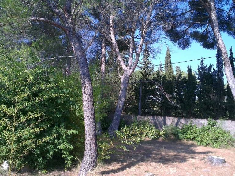 foto12