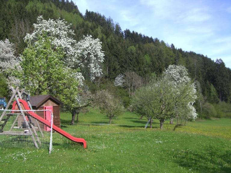 foto33