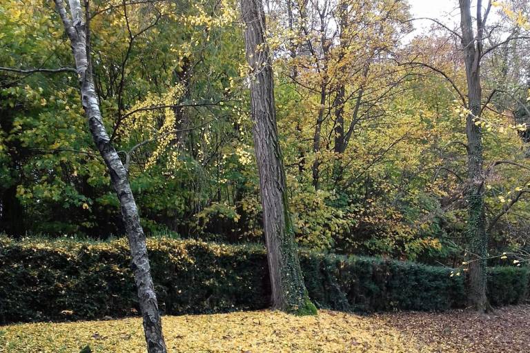 foto20