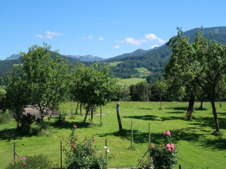 foto19