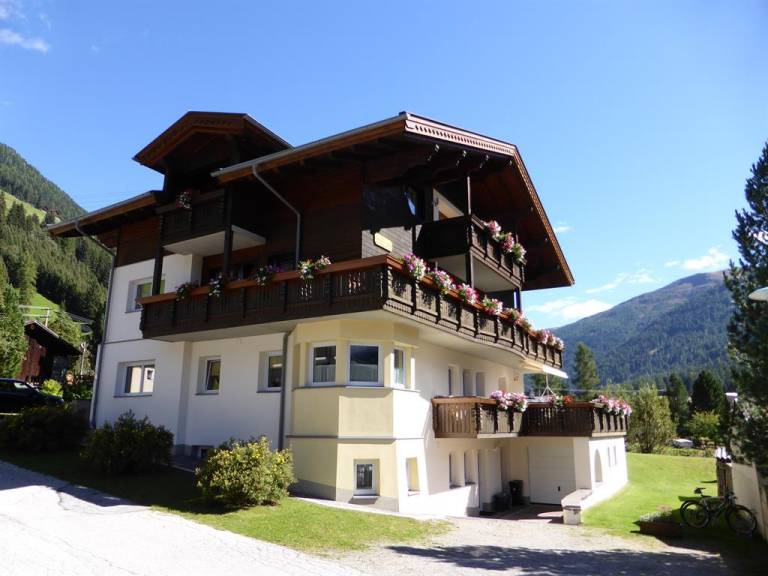 foto1