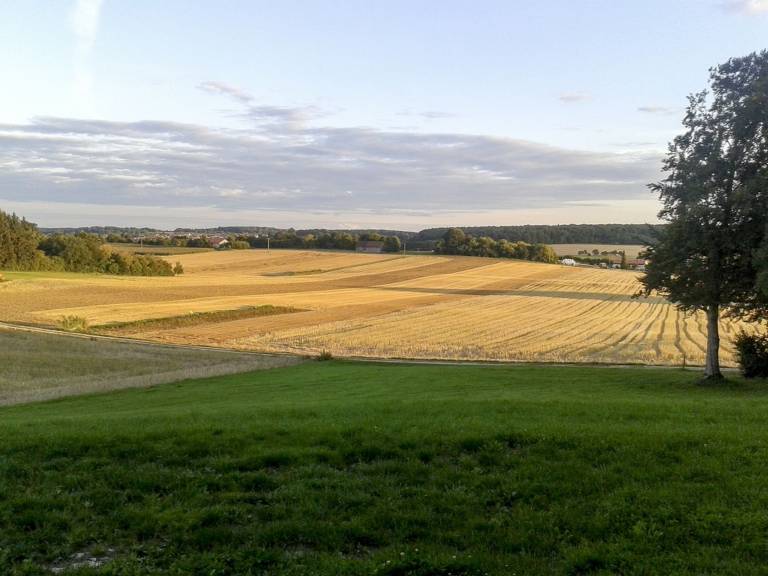 foto17