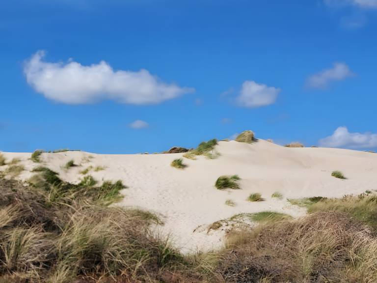 foto9