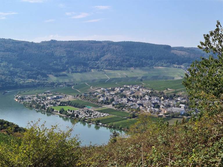 foto7