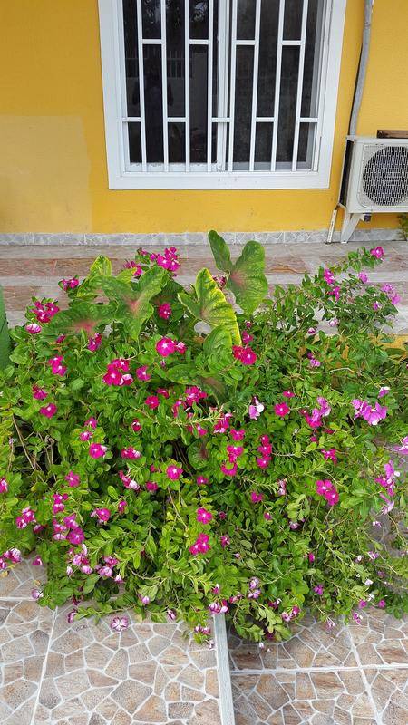 foto6