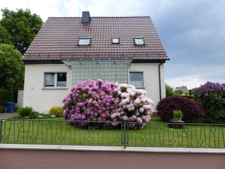 foto1