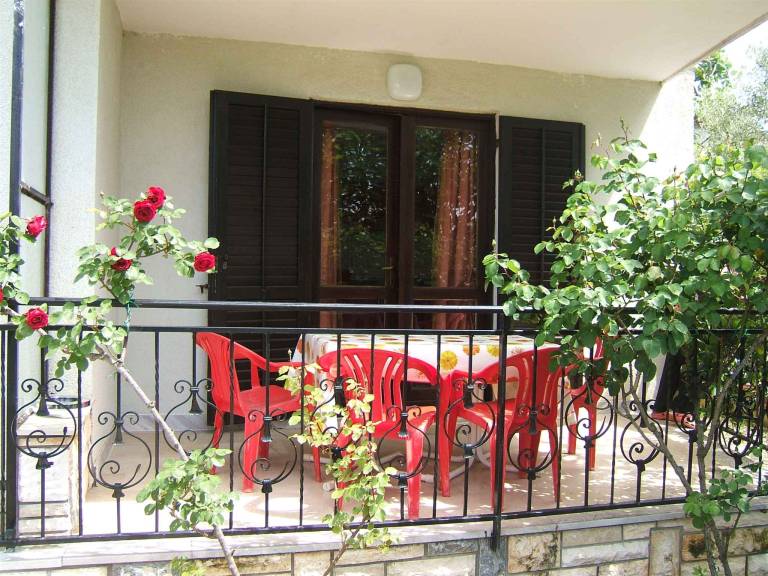 foto1