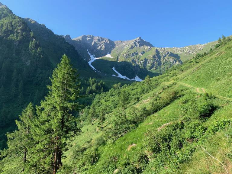 foto45