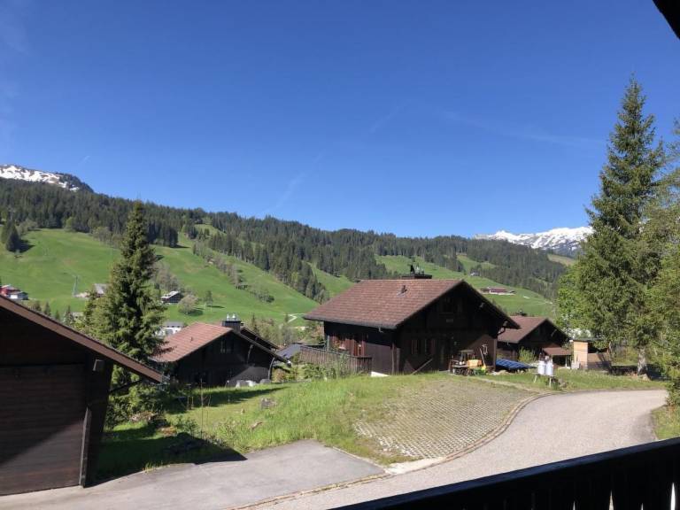 foto11