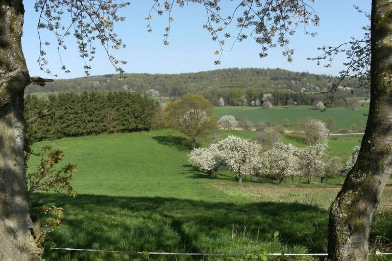 foto15