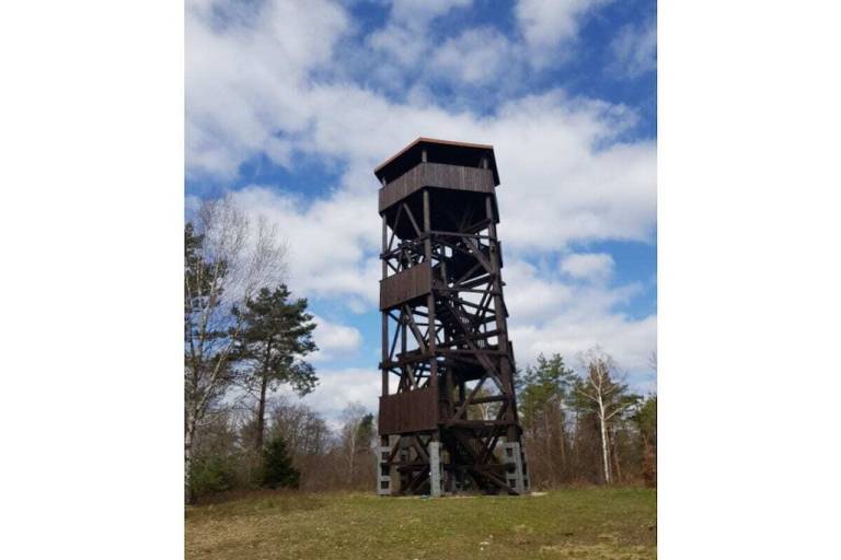 foto17