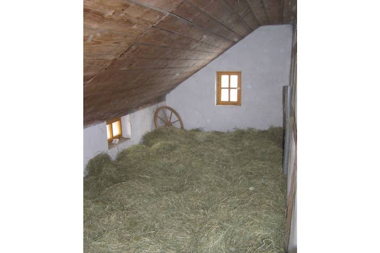 foto16