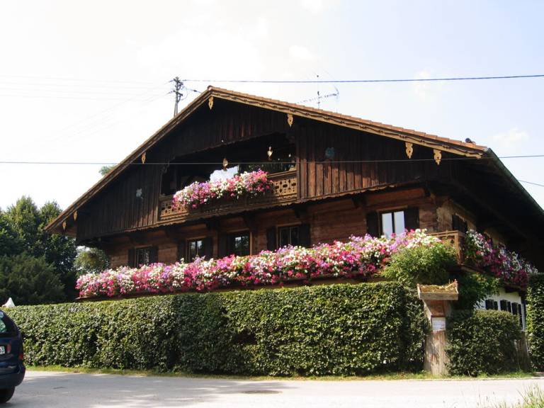 foto1