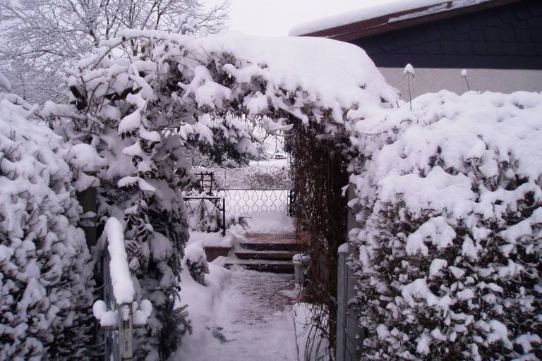 foto37