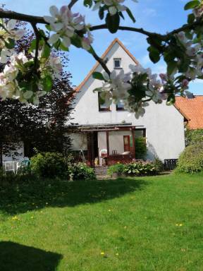Freistehendes Ferienhaus in Adendorf mit Terrasse, Grill und Garten