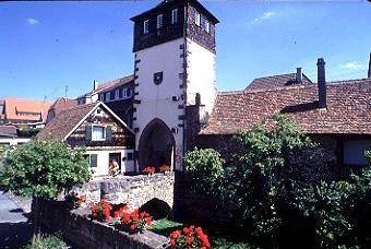 foto19