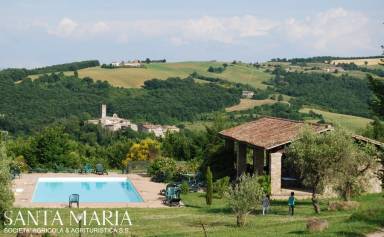 Tolles Appartement in San Venanzo mit Pool & Grill