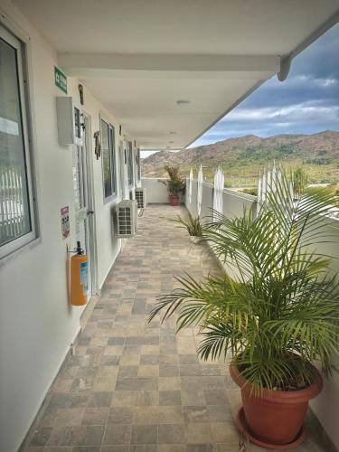 foto5