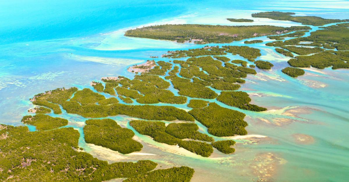 Image result for archipelago florida