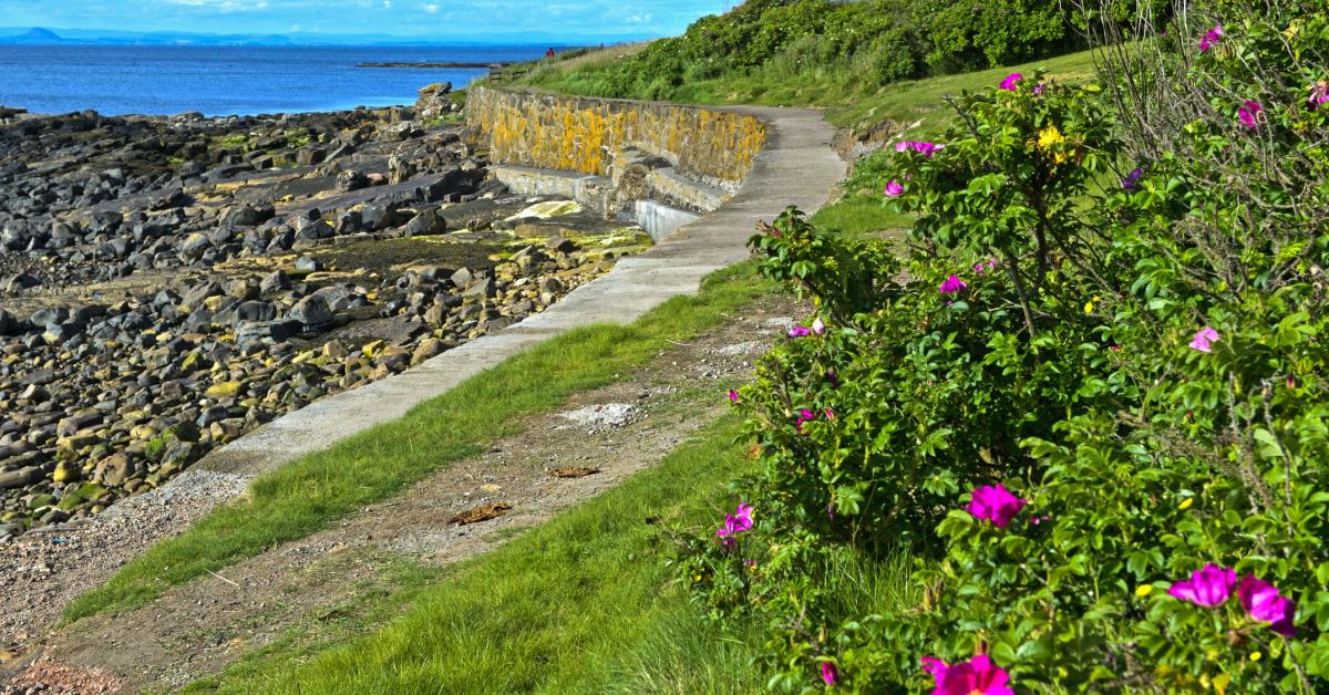 Holiday Cottages Apartments In The Fife And St Andrews From 38