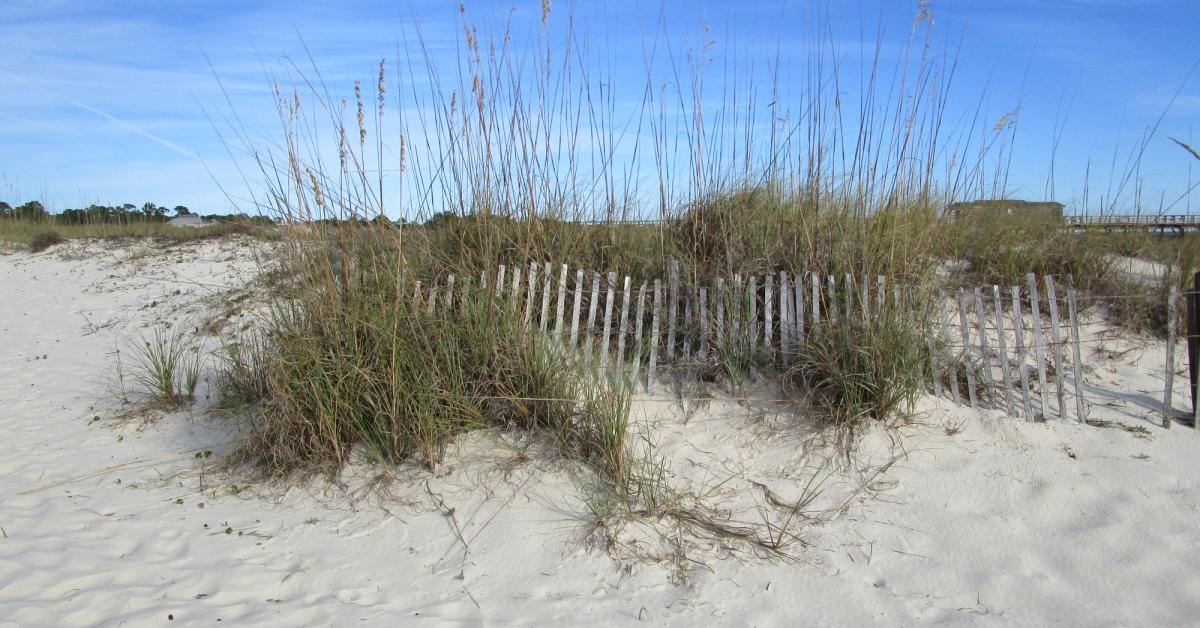 Edisto Beach Rentals From 145 Hometogo