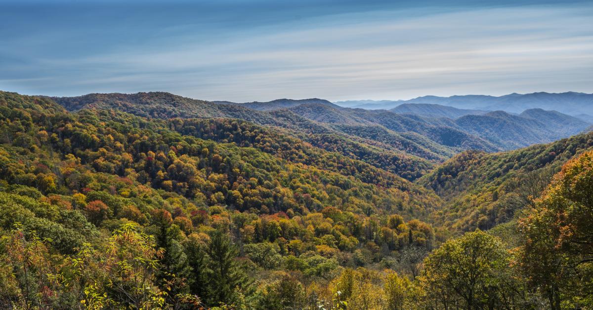 Cherokee Nc Cabin Rentals From 91 Hometogo