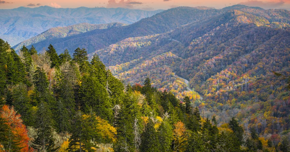 Smoky Mountains Cabin Rentals From 89 Hometogo