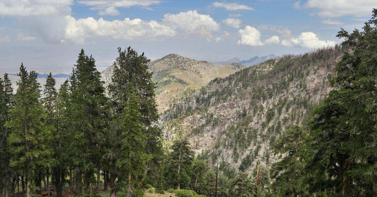 Mount Charleston Cabins Vacation Rentals From 57 Hometogo