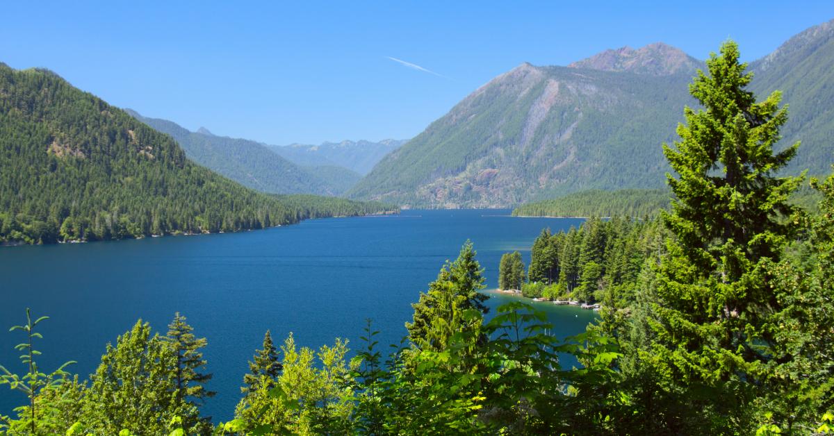 Lake Cushman Vacation Rentals From 110 Hometogo