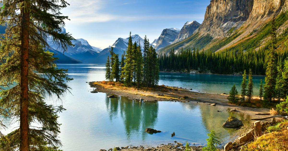 Jasper National Park Vacation Rentals From 80 Hometogo