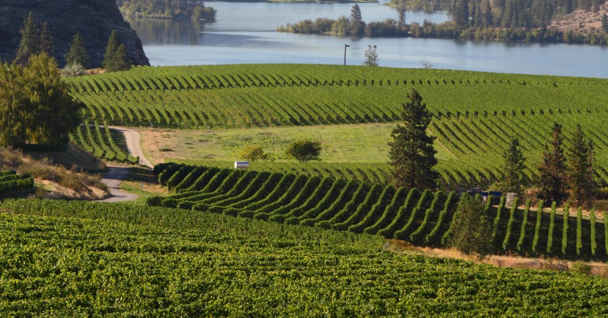 Penticton Vacation Rentals From 63 Hometogo