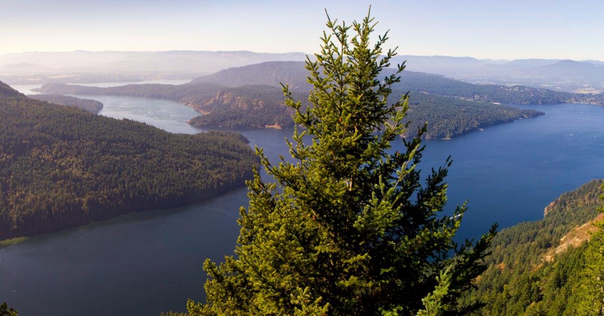 Salt Spring Island Vacation Rentals From 64 Hometogo