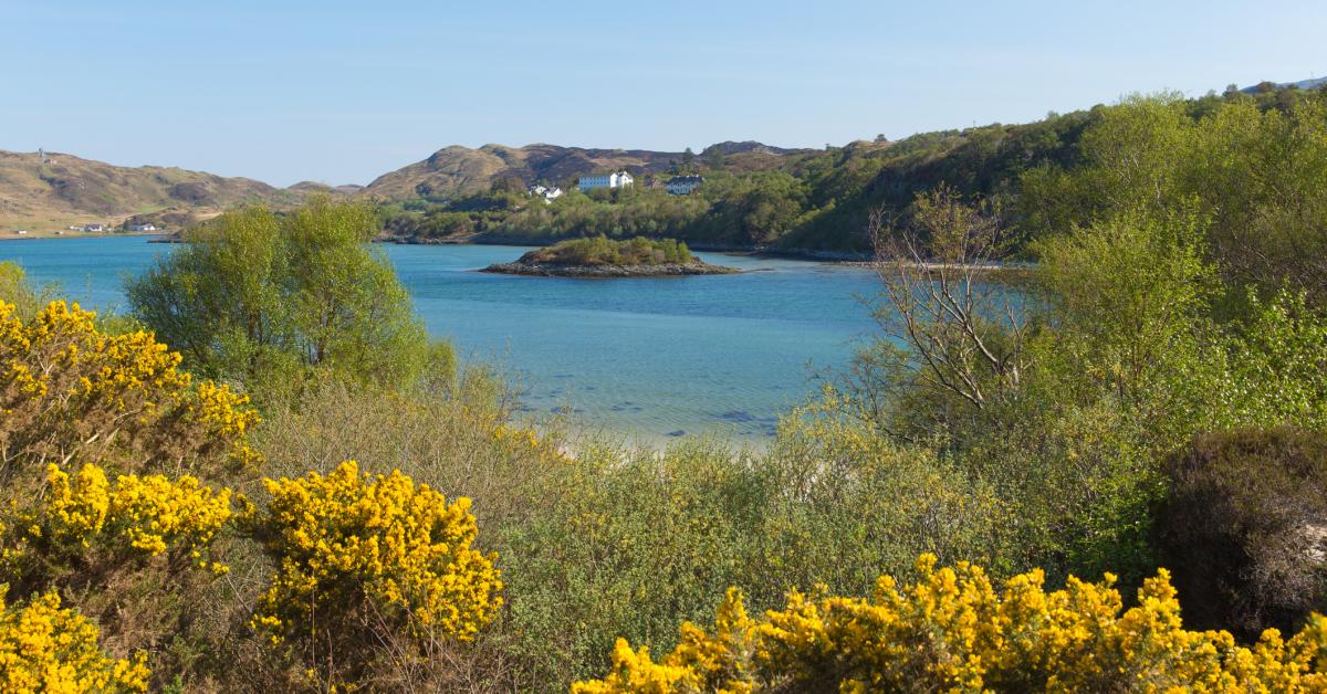 Rent Holiday Apartments Lettings In Mallaig From 22