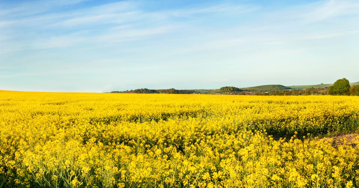 Rent Holiday Cottages Apartments In Warminster From 38