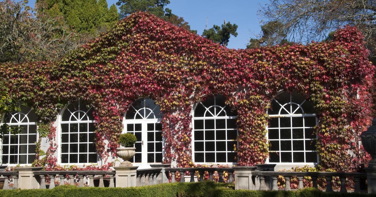 Find B Bs Accommodation In Bowral From 122 Hometogo