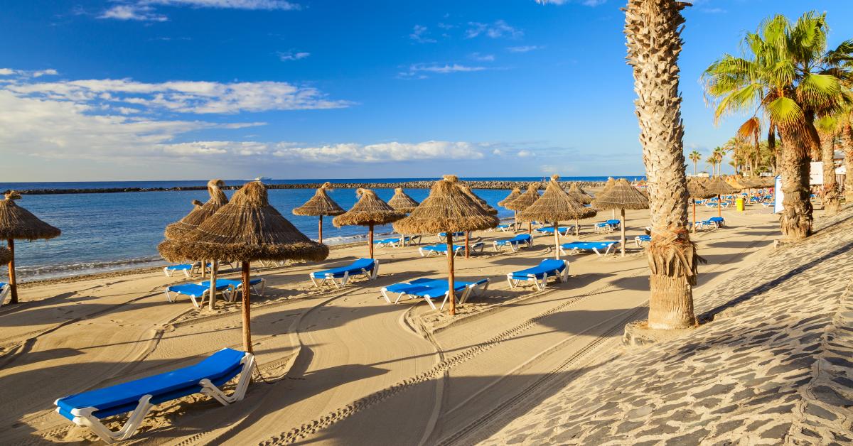 Knop Udstråle Fordøjelsesorgan Holiday Accommodation & Lettings in South Tenerife from £42 | HomeToGo