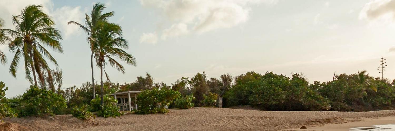Ontdek de schoonheid van de Antillen in uw vakantiehuis op Aruba - Casamundo