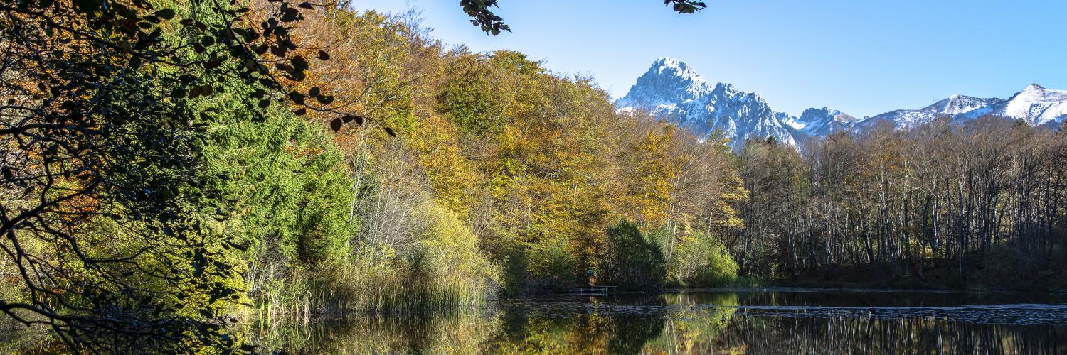 Ponte Ognissanti: Le Migliori Destinazioni