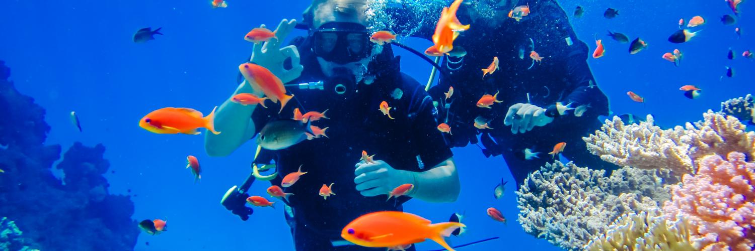 De 5 beste bestemmingen voor een duikvakantie in Egypte