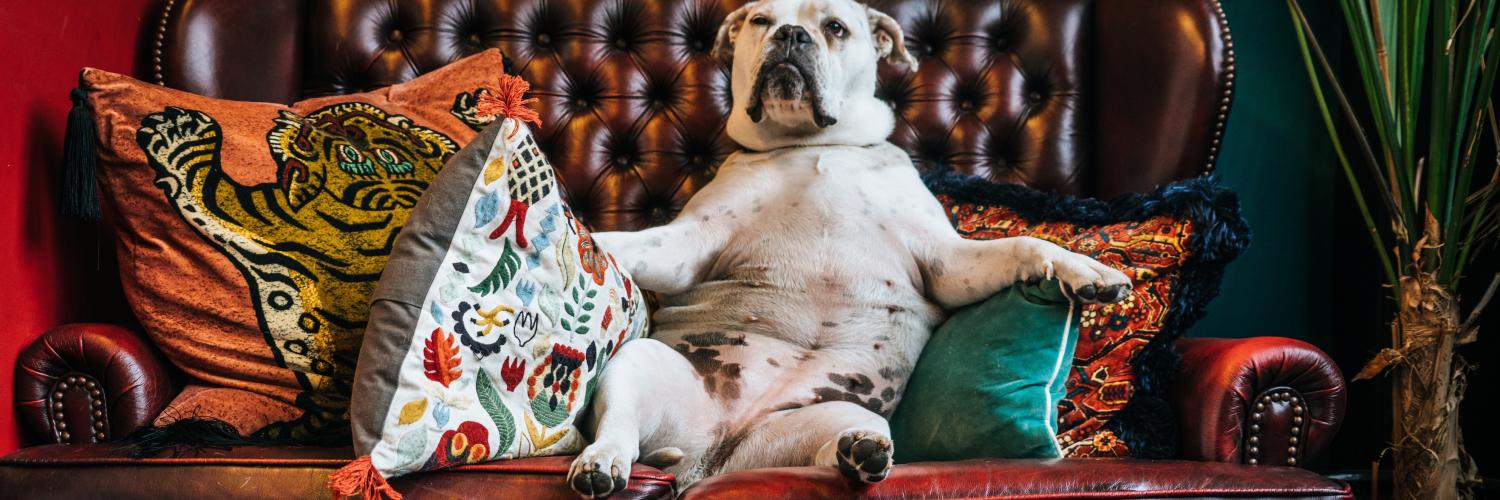 12 Travel Experts on Seeing the World From Their Couch - HomeToGo