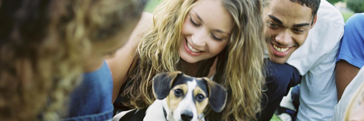 Tipps für den wohlverdienten Urlaub am Gardasee mit Ihrem Hund