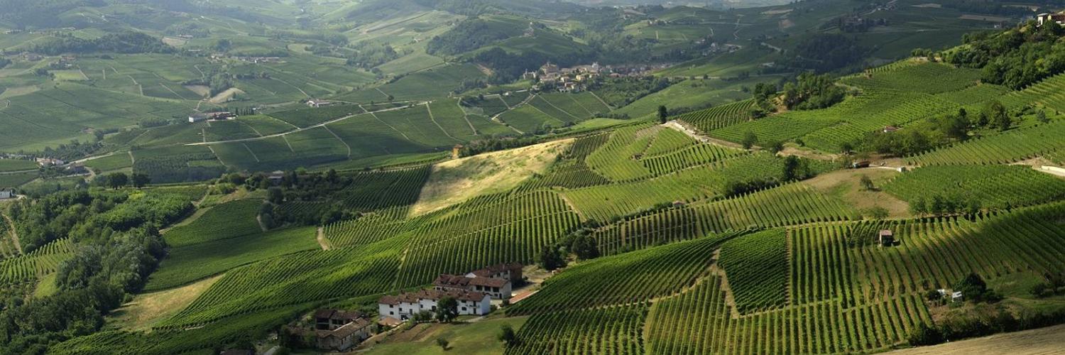 Vini delle Langhe: Tour Degustazione fra le Colline Piemontesi - CaseVacanza.it
