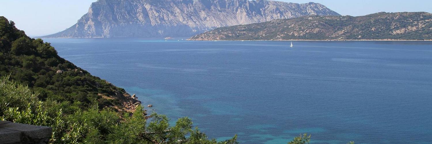 Spiagge di San Teodoro: 10 Mete Meravigliose nella Sardegna Orientale - CaseVacanza.it