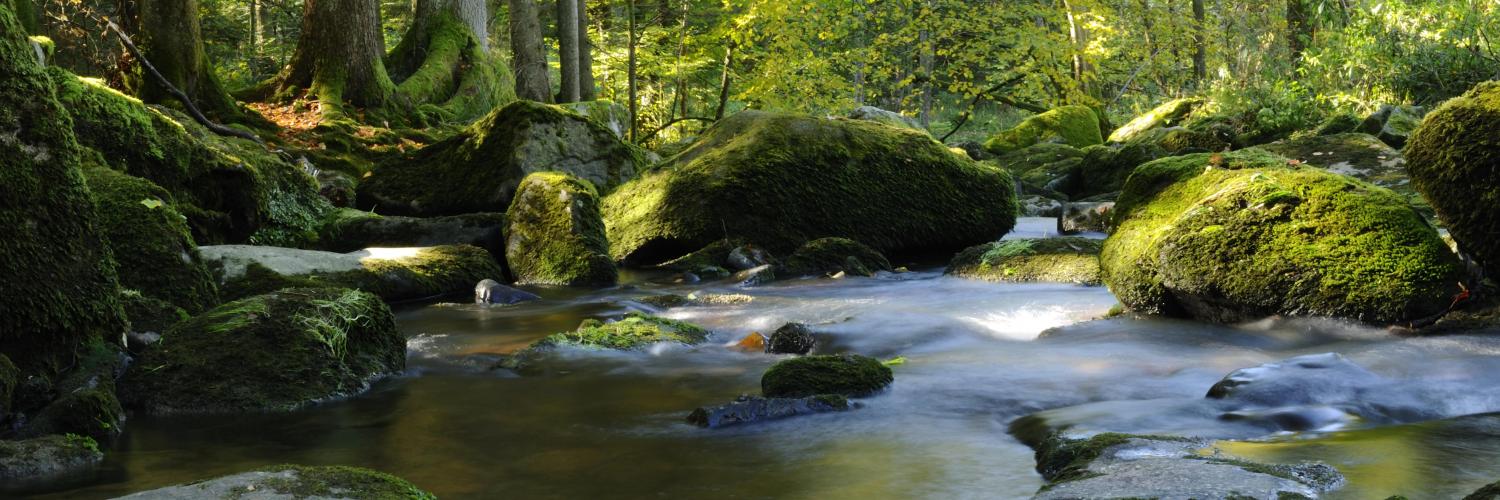 Vacanze ecosostenibili: le migliori destinazioni