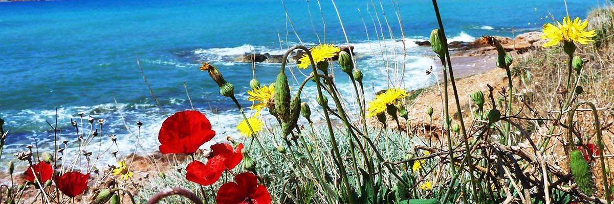 Wimdu’s Best Kept Secret Series – Athens. - Wimdu