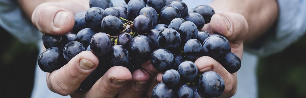 La Berlino per chi soffre di celiachia - Wimdu