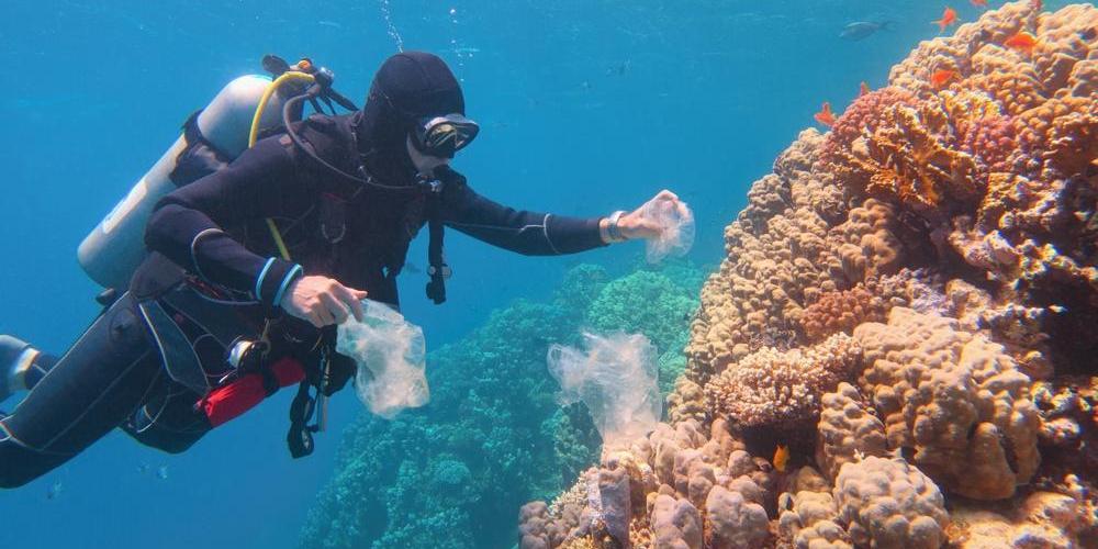 Costa Paradiso Diving Center